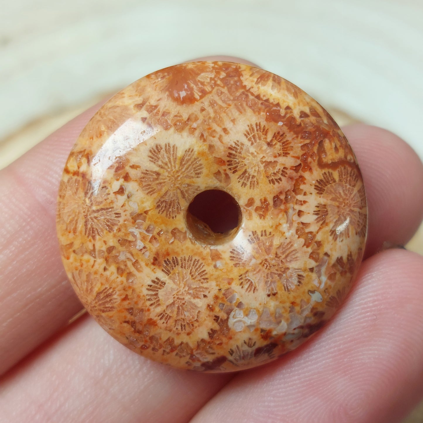 Koralle Donut