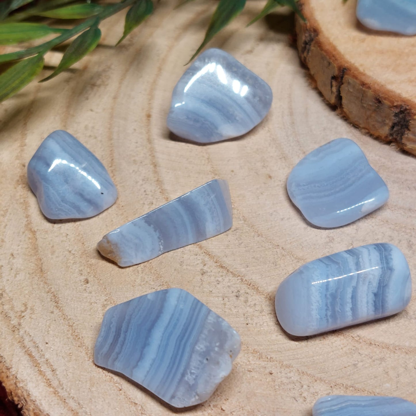 Blue Lace (Chalcedon blau gebändert) Trommelstein
