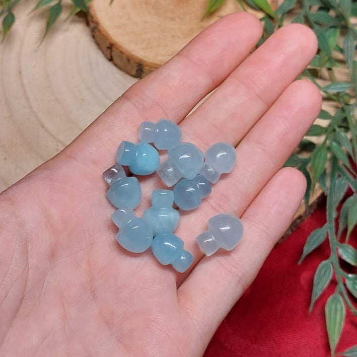 Aquamarin XXS Pilz
