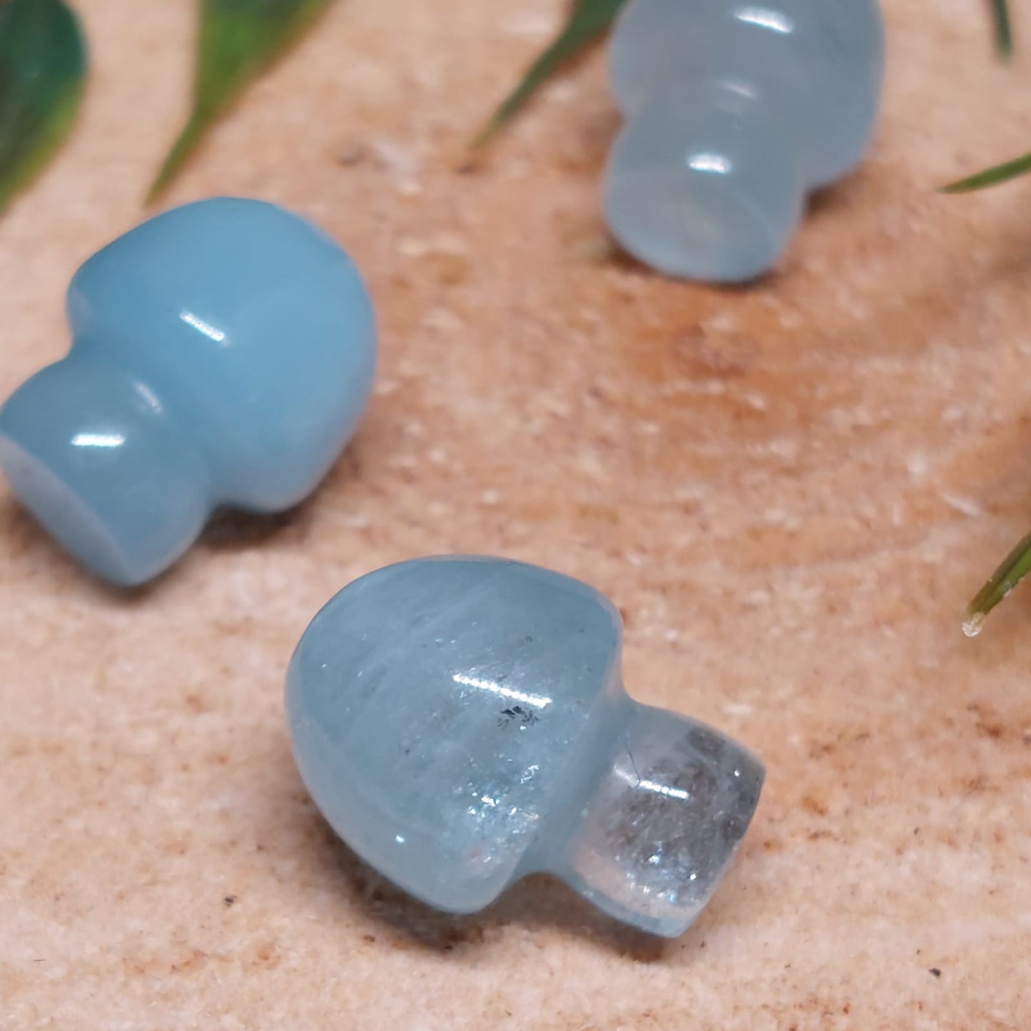 Aquamarin XXS Pilz