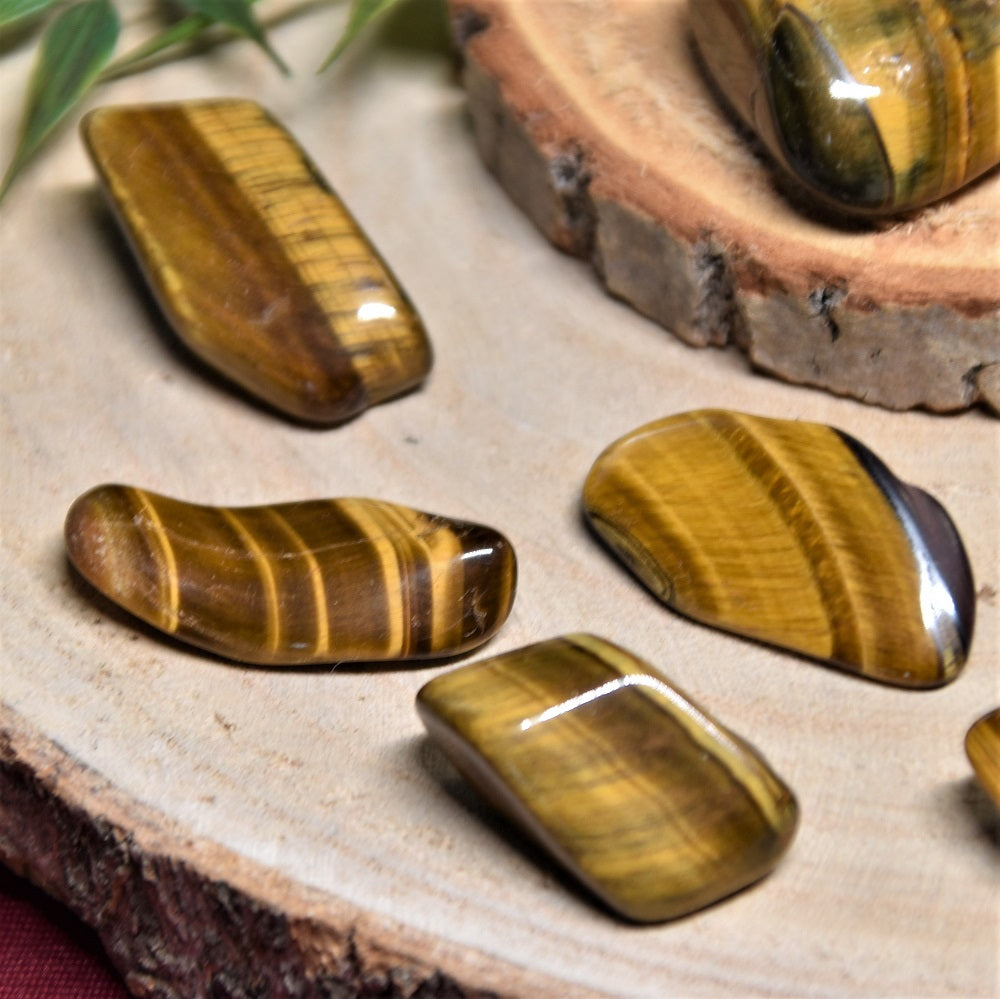 Tigerauge gold Trommelstein
