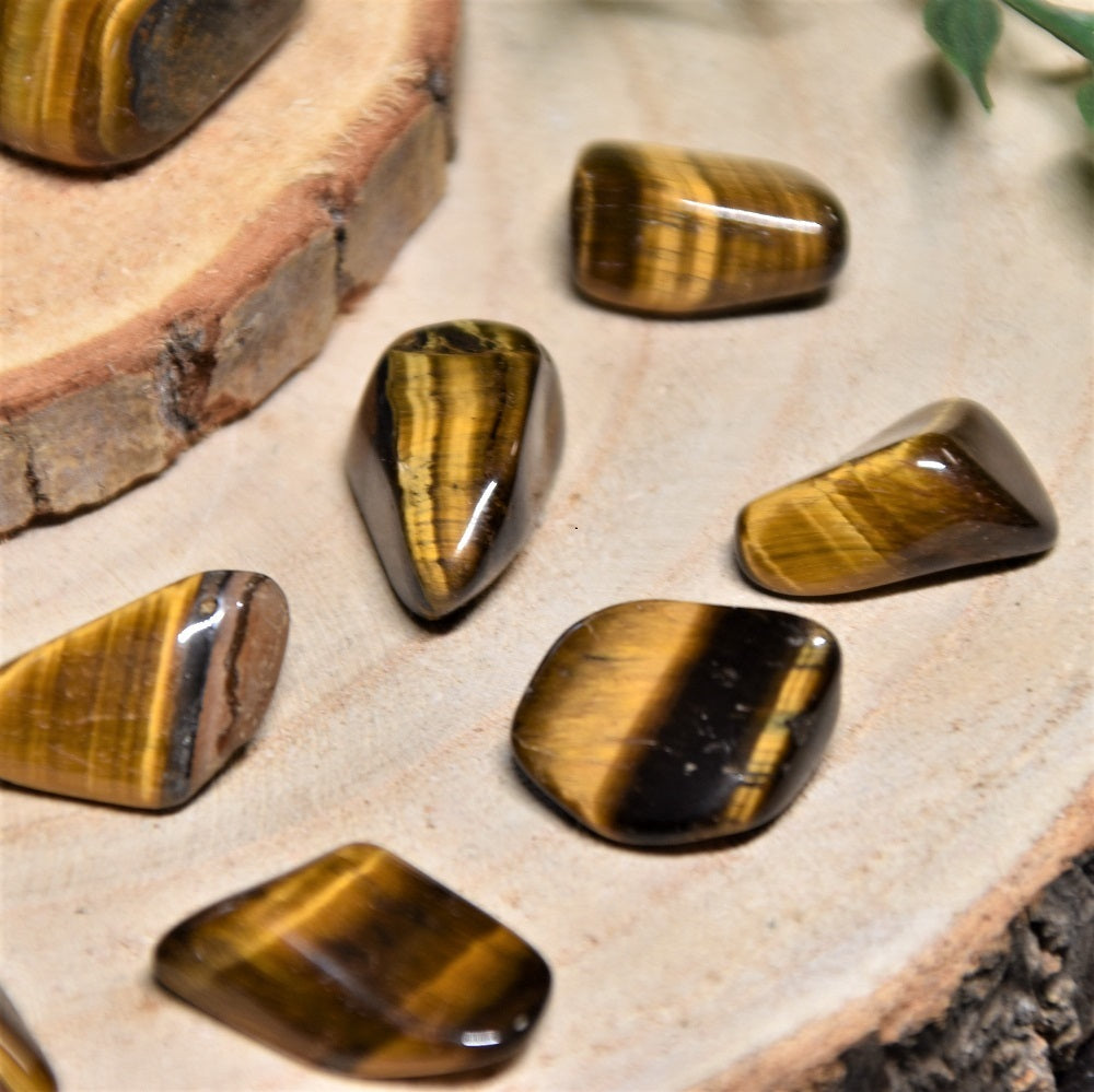 Tigerauge gold Trommelstein