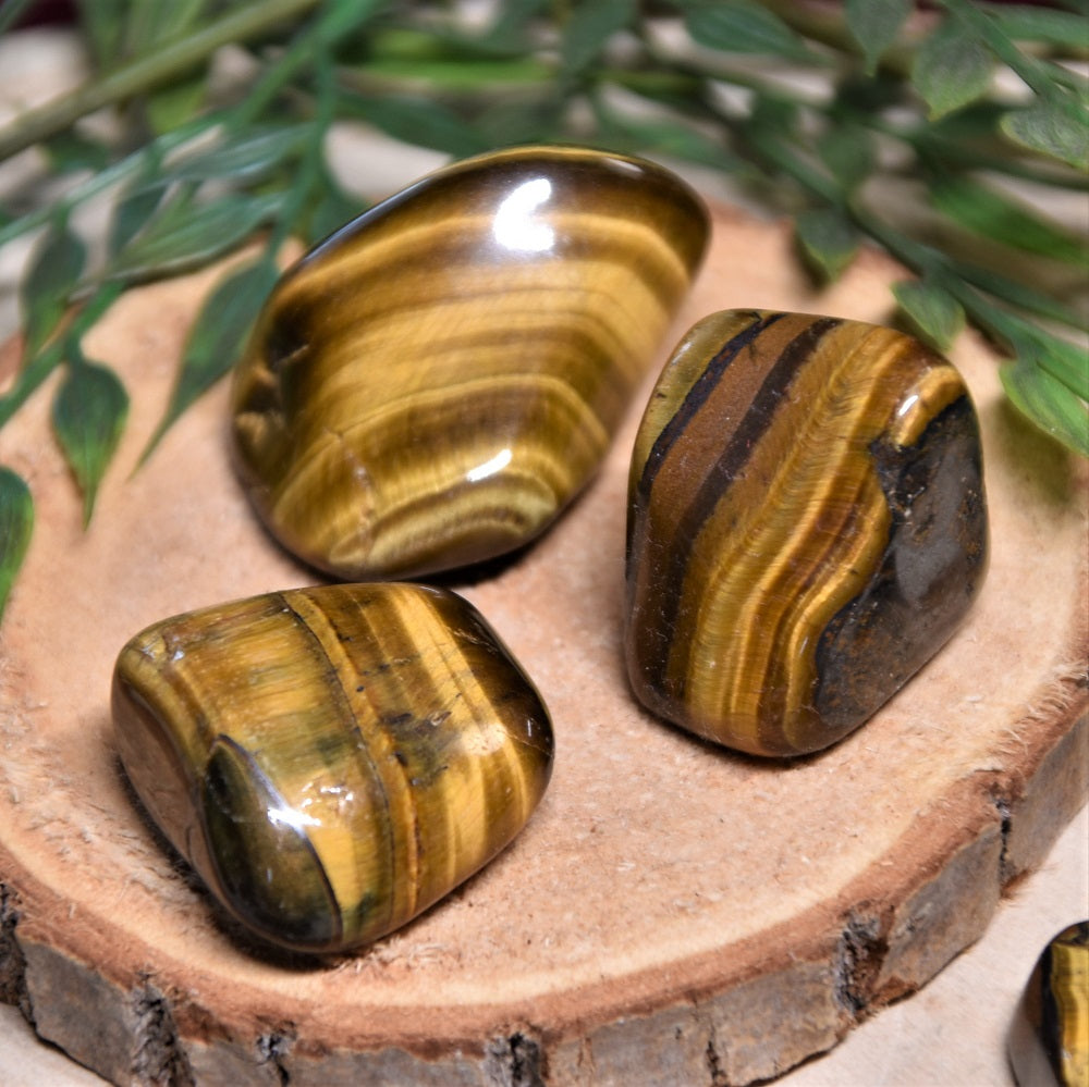 Tigerauge gold Trommelstein