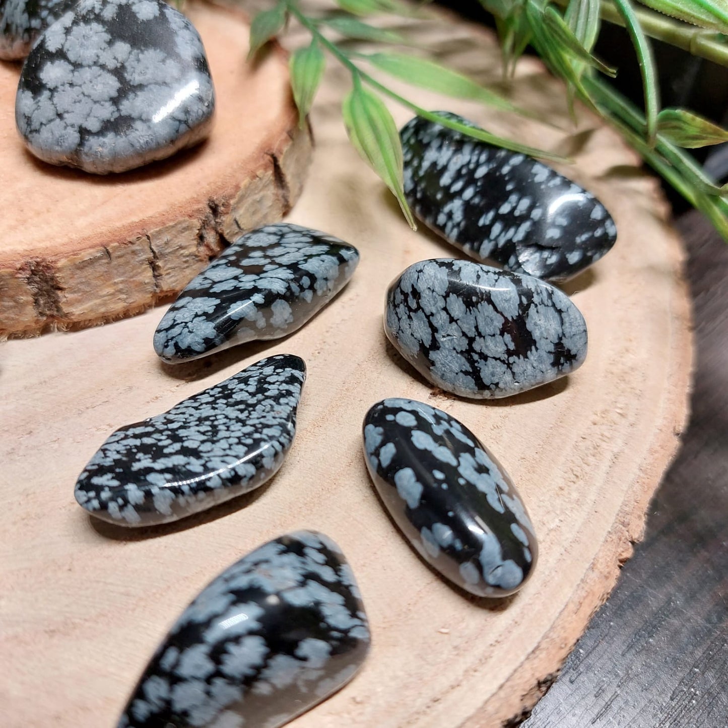 Schneeflocken-Obsidian Trommelstein
