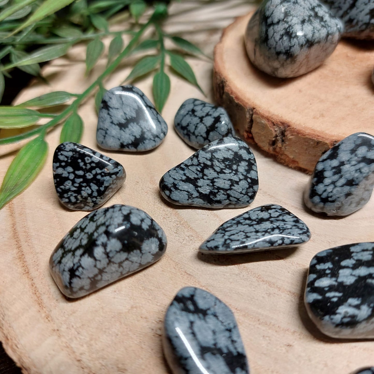 Schneeflocken-Obsidian Trommelstein