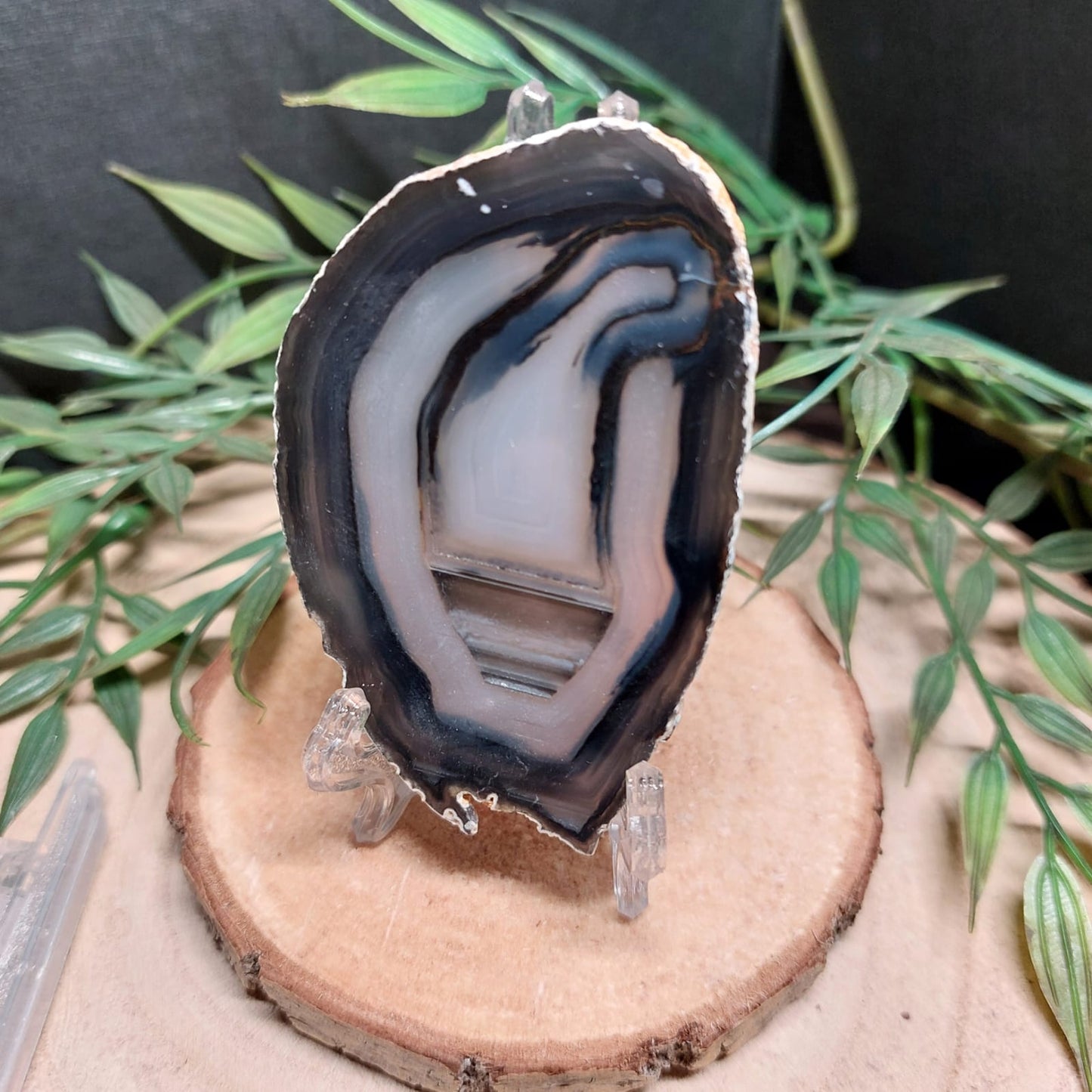 Ständer transparent für flache Schätze