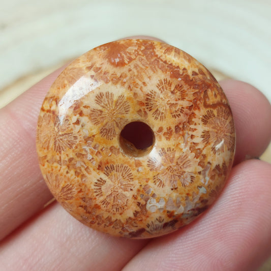Koralle Donut