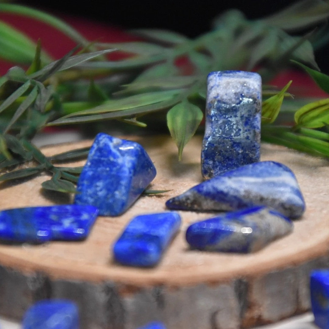 Lapis Lazuli getrommelte Splitter